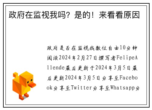 政府在监视我吗？是的！来看看原因